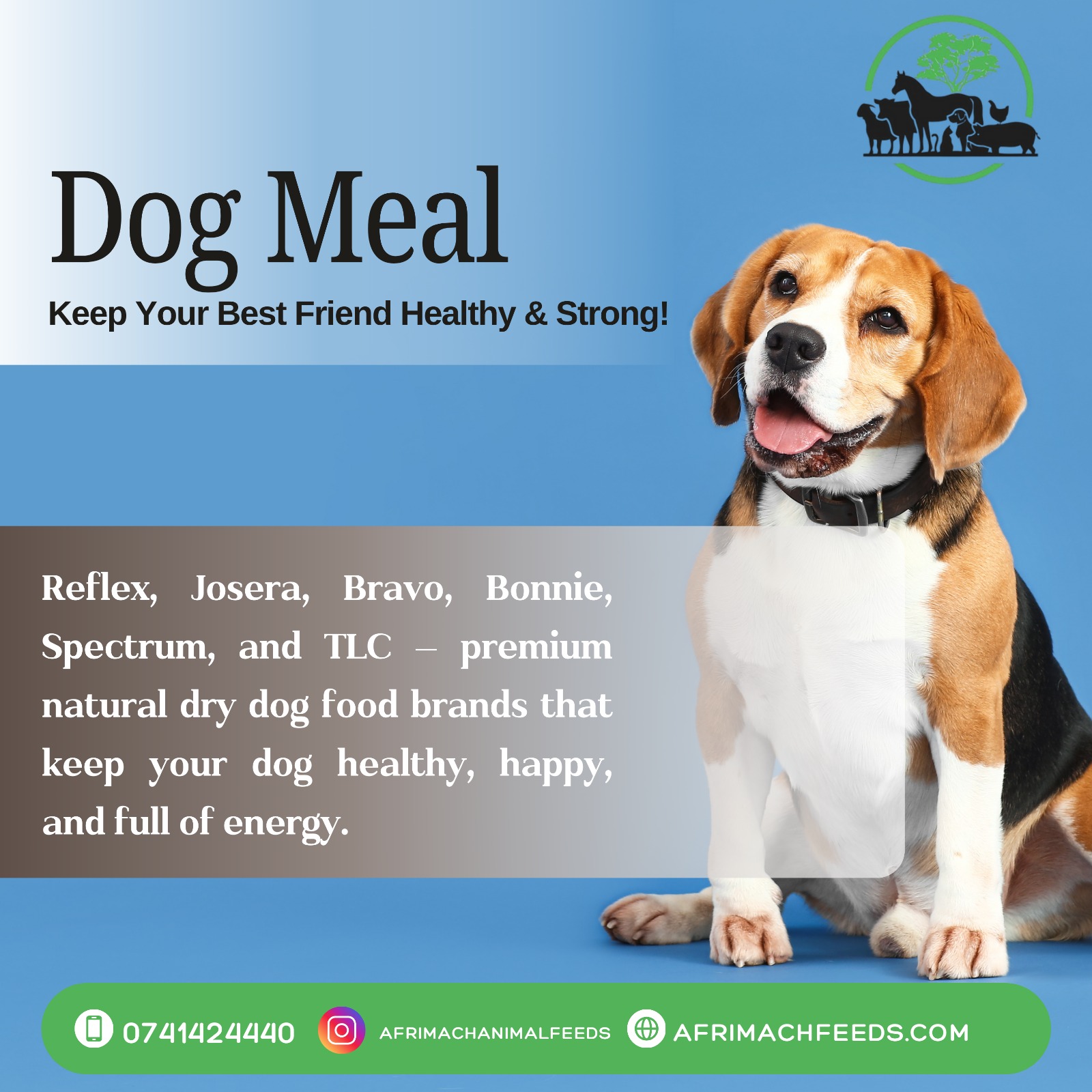 Dog Meal