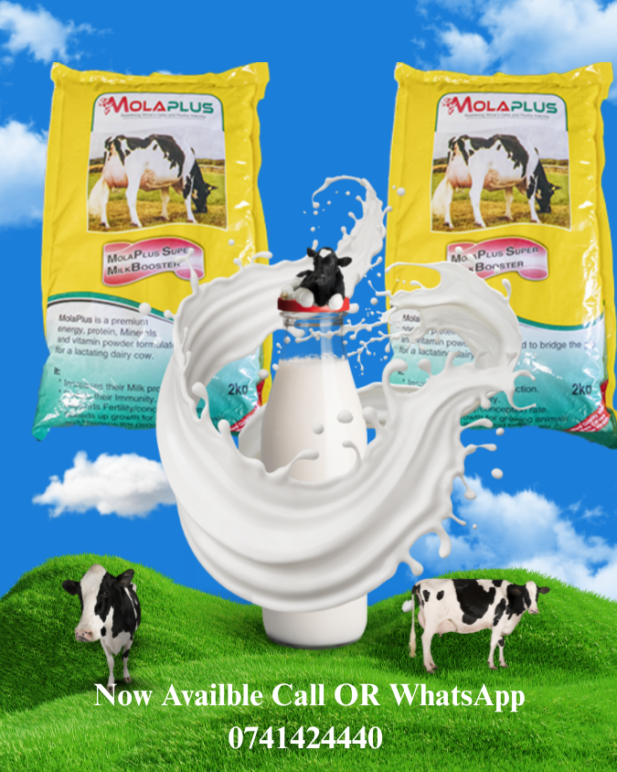Molaplus Milk Booster