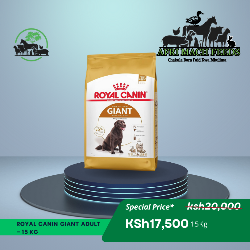 ROYAL CANIN GIANT ADULT – 15 Kg